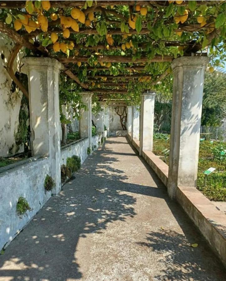 Appartamento Salifornia casa vacanze Salerno Esterno foto